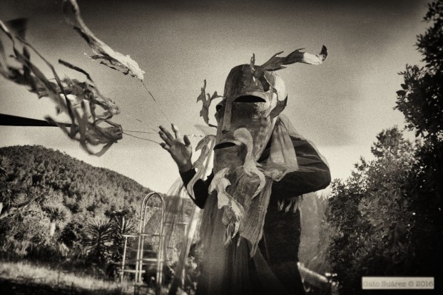 all images by Gato Suárez © 2014-2016  (NO commercial or editorial Print or WEB without permission, this means NO blogs, no magazines, no newspapers, TV, online/print adverts, etc)